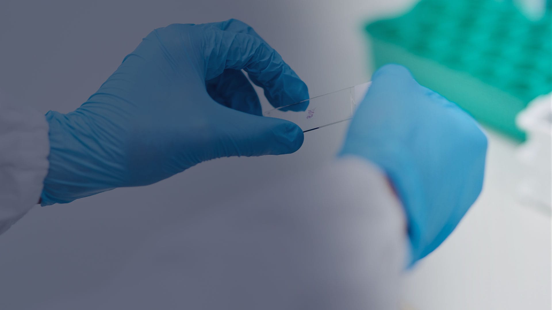 scientist holding microscope slide