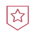 shield icon
